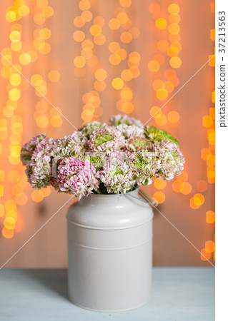 Pink persian buttercup flowers. Curly peony Pink persian buttercup flowers. Curly peony 37213563