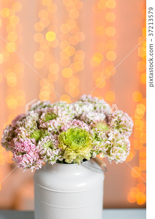 Pink persian buttercup flowers. Curly peony Pink persian buttercup flowers. Curly peony 37213579