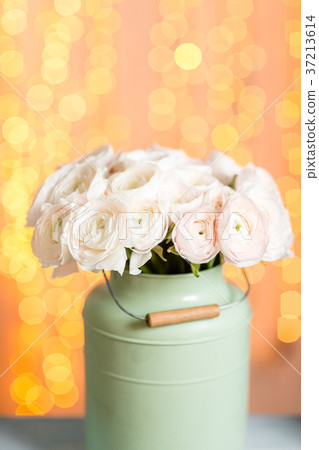 Pink persian buttercup flowers. Curly peony Pink persian buttercup flowers. Curly peony 37213614