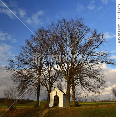 Beautiful little chapel with landscape and trees 37214575
