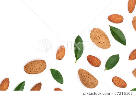 almonds with leaves isolated on white background 37216102