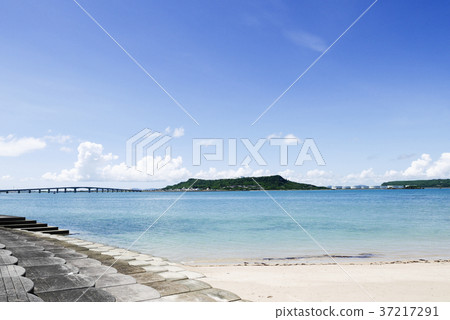 沖繩島 37217291