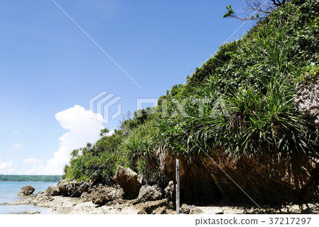 Okinawa  37217297