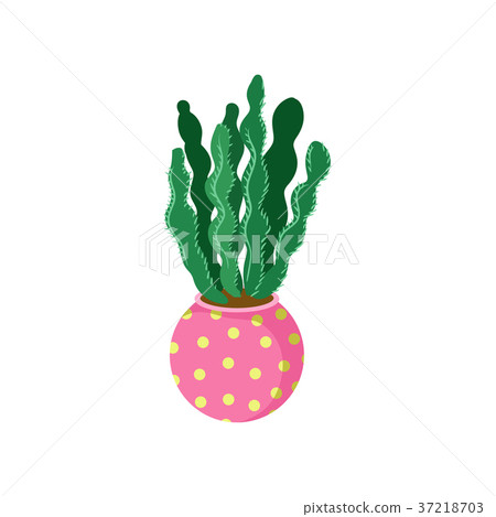 Spurge cactus, home plant in a flowerpot cartoon Spurge cactus, home plant in a flowerpot cartoon 37218703