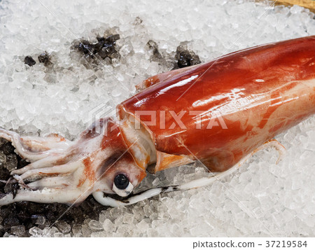 Red, sodeika, purple fresh red Red, sodeika, purple fresh red 37219584