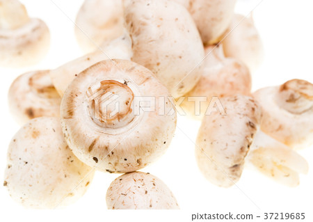 Mushrooms champignons on a white background 37219685