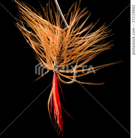 fly to catch fish on a black background fly to catch fish on a black background 37219982