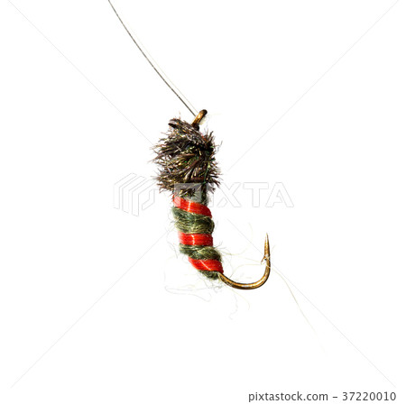 fly for fishing on a white background 37220010