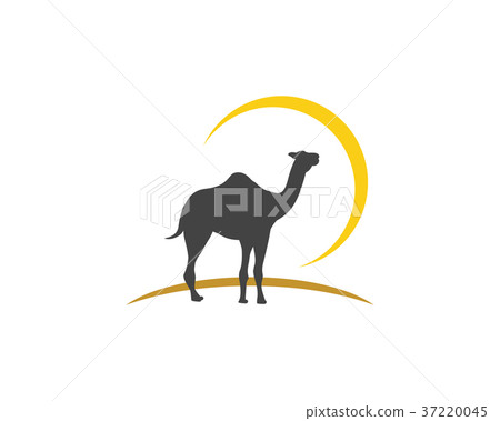 Camel Icon Logo Template design 37220045