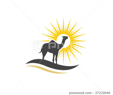 Camel Icon Logo Template design 37220046