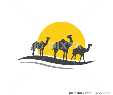 Camel Icon Logo Template design 37220047