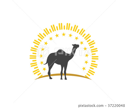 Camel Icon Logo Template design 37220048