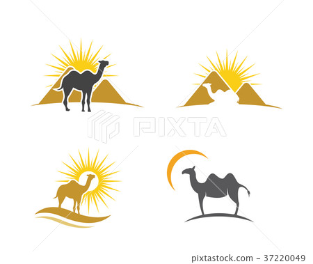 Camel Icon Logo Template design 37220049