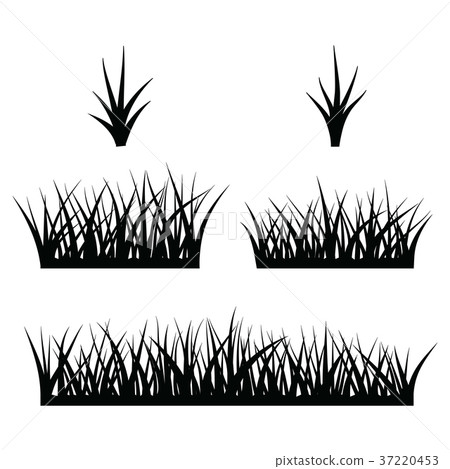 black  silhouette of grass 37220453