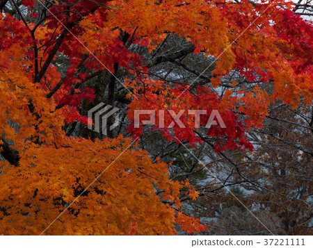 Japan's original landscape Miyama Kayano no Sato Miyama Kayano no Sato located in northern Kyoto 37221111