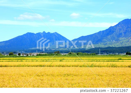 Aso valley in autumn Aso valley in autumn 37221267