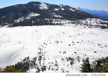See Tsubo Garden, Mt. Shibari, and Minami-Yatsugatake from Kita-Yotake mountain trail (2300 m) of Kita-Yatsugatake 37221430