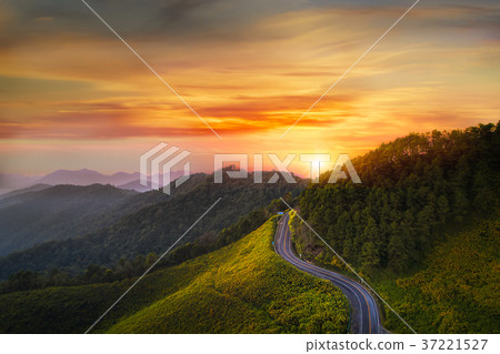Sunset Landscape nature flower Sunset Landscape nature flower 37221527
