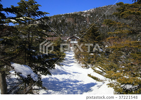 Mountain trail near Kitayokodake Hutte in Northern Yatsugatake 37221548