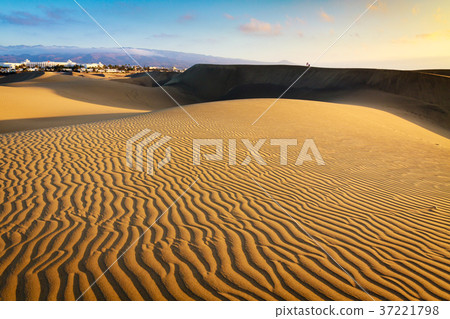 Lonely photographer on dunes in Maspalomas  37221798