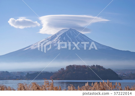 Fuji of Kasumo Fuji of Kasumo 37222014