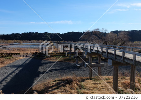 木橋 木橋 37222210
