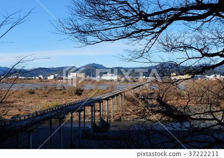 木橋 木橋 37222211