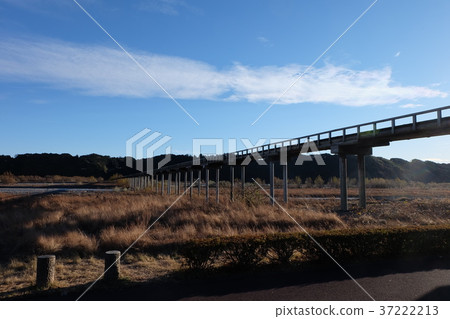 木橋 木橋 37222213