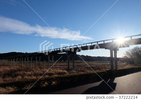 木橋 木橋 37222214