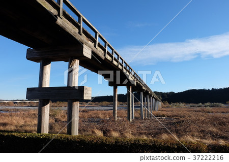 木橋 木橋 37222216