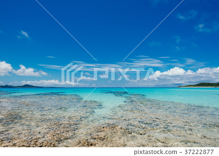 沖繩島 沖繩島 37222877