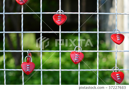 Red heart shape locks hanging on iron net Red heart shape locks hanging on iron net 37227683