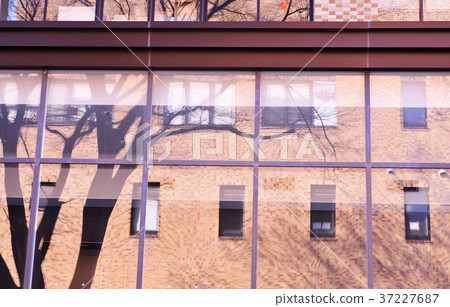 Building with trees reflection 37227687