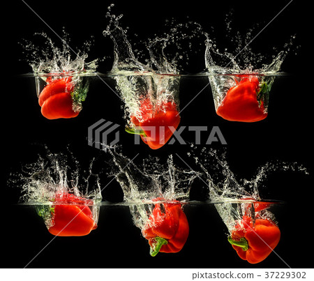 Red bell pepper falling in water 37229302