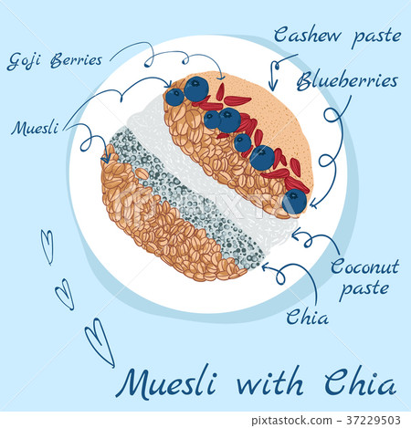 Muesli with chia art illustration Muesli with chia art illustration 37229503