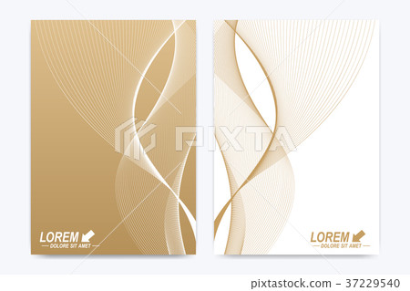 Modern vector template for brochure, leaflet Modern vector template for brochure, leaflet 37229540