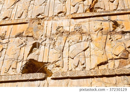 in iran persepolis in iran persepolis 37230129