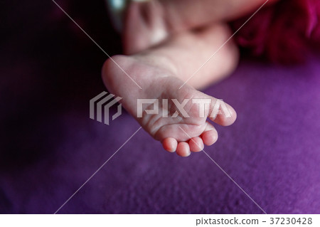 legs of a newborn legs of a newborn 37230428