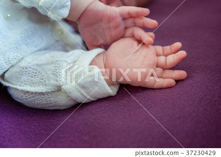 Little baby hands 37230429