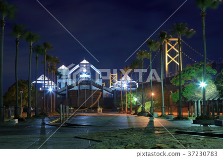 Night view of Seto Ohashi Memorial Park 37230783