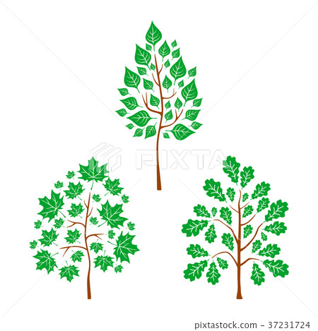 Vector flat trees on white background - Stock Illustration [37231724 ...