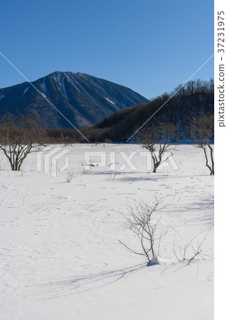 從Oda Toshirogahara看到的男人的身體山 37231975