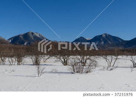 從Odashirogahara看到的Mt. Taro和Daimanagoyama，Komanakoyama 37231976