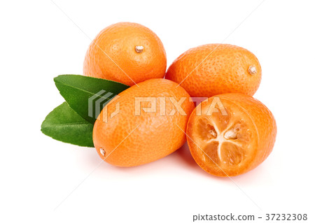 Cumquat or kumquat with leaf isolated on white 37232308