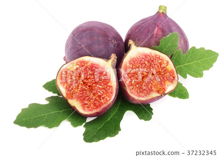 fig fruits with leaves isolated on white fig fruits with leaves isolated on white 37232345