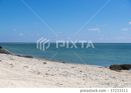 Shiraho Beach (Ishigaki Island) Shiraho Beach (Ishigaki Island) 37233311