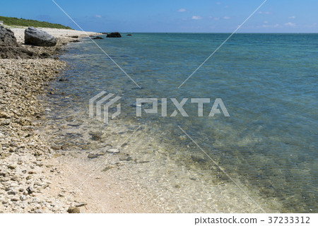 白井海灘(石垣島) 白井海灘(石垣島) 37233312