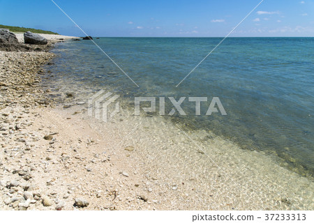 白井海灘(石垣島) 白井海灘(石垣島) 37233313