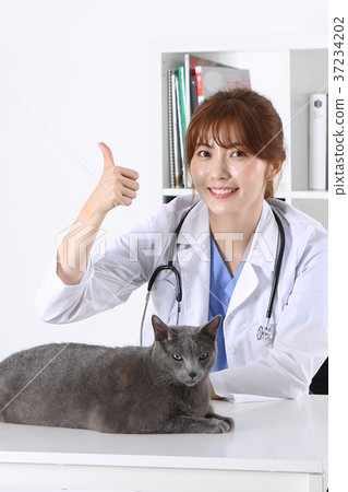 RF photo - a veterinarian and animals197 RF photo - a veterinarian and animals197 37234202