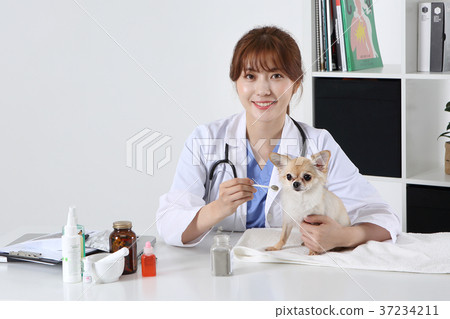 RF photo - Petconomy, a veterinarian and animals 286 37234211